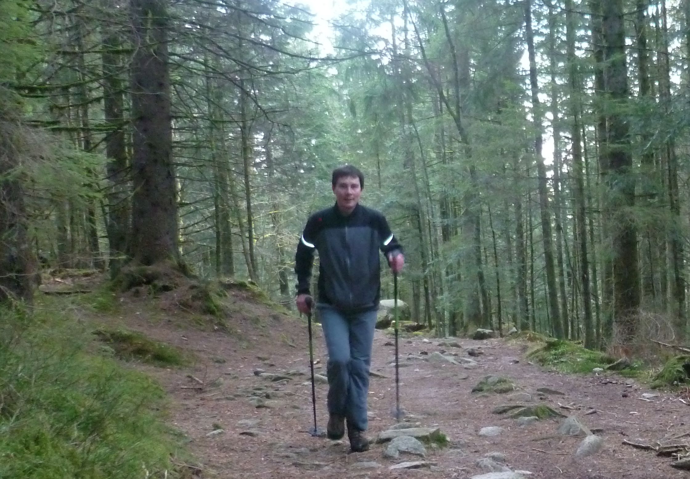 nordic walking la bresse gérardmer vosges